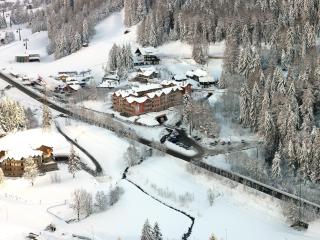 Residence Adamello Resort - Ponte di Legno - 4