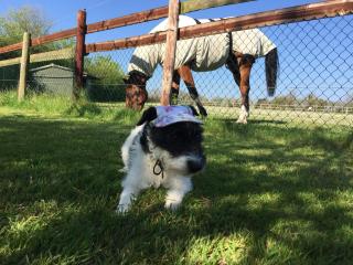 The Final Furlong, Bruton - 9