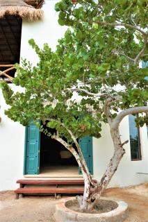 Hotel Boutique La Puerta Azul Beachfront - Adults Only - 9