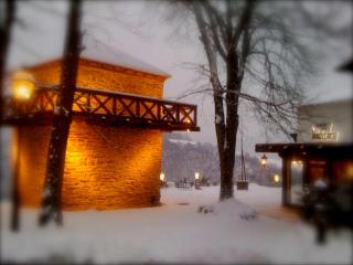 Berghotel Wintersberg - Bad Ems - 1