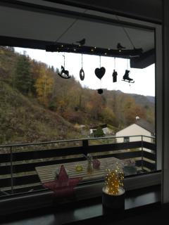 Talblick II - Cochem - 9
