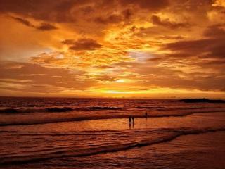The Ocean Park Beach Resort - Kovalam - 3