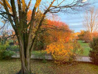 Barchessa Rossetti - 5