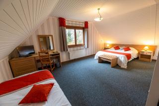Logis - Hotel Restaurant La Sapinière - Wisques - 7