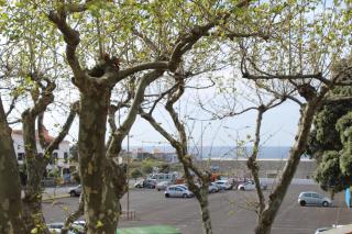 Beach & Surf - Ribeira Grande - 7