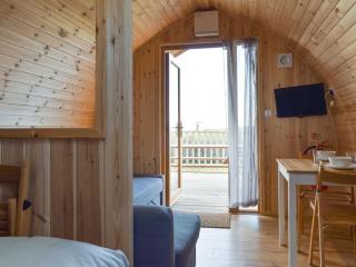Barn Scar-Uk1394 - 2