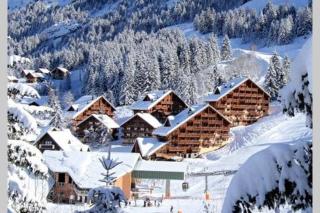 Ski-in Ski-out Oz en Oisans E4 - Oz - 4