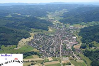 Schwarzwälder Ferienwohnungen - Seelbach - 6