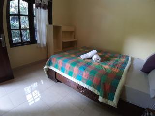 Patra House - Ubud - 7