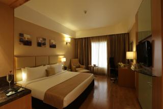 Mysore County Retreat - Mysore - 8