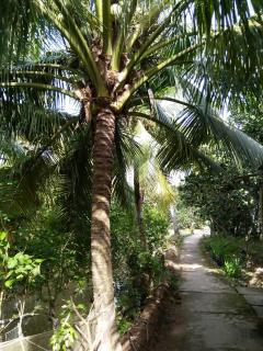 Nam Binh Homestay - Ben Tre - 2