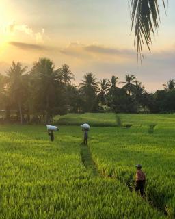 Lodtunduh Sari - Ubud - 6