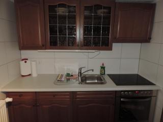 DIE Ferienwohnung - Wittenberg an den Elbwiesen - Lutherstadt Wittenberg - 3