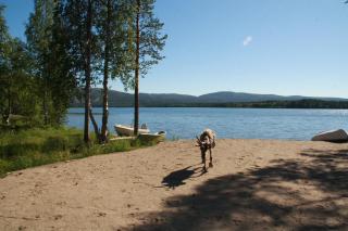 Lucky Lodge - Pyhätunturi - 6