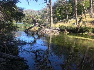 Cabaña Lago Largo - 6