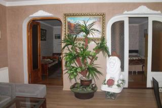 3 Room Flat in Tbilisi - 4