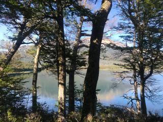 Cabaña Lago Largo - 5