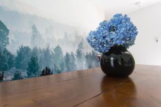 Aqua&Co Bellagio - Eco conscious stay - Bellagio - 8