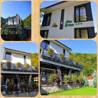 New Green - Slănic-Moldova - 5