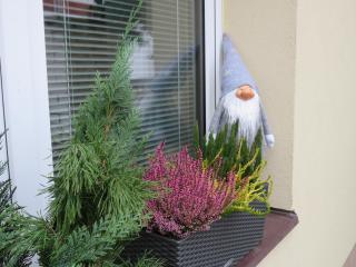 Rivendell Apartments - Prague - 4