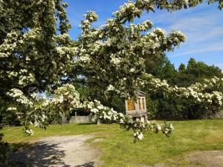 Casa Rural Maria Bargiela - 5