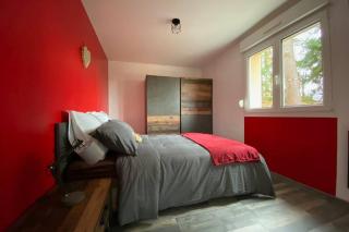 Le Galtz - GÎTES MARCK - Ammerschwihr - 1