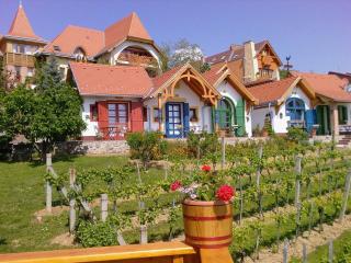 Bagoly Pincesor Fogado - Pécs - 9