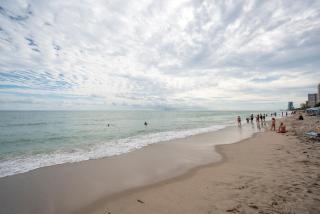 Paradise on Hollywood Beach 2 bed 2 bath - Hollywood - 7