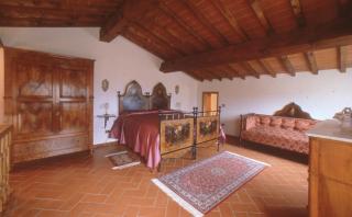 Fattoria di Belvedere - Poppi - 3