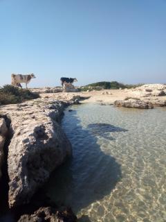 Villa Itaca - Sant'Isidoro - 2