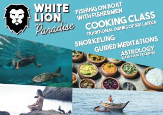 White Lion Paradise Dikwella - 1