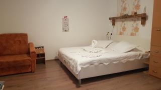 Casa Farcaș Bușteni - Buşteni - 1