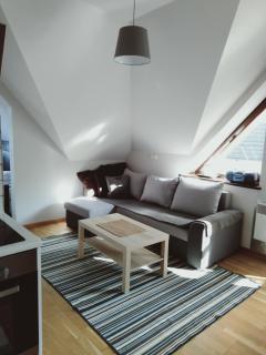 Apartament Kasprowy Jaszczurówka - Zakopane - 9