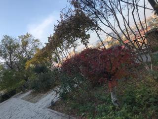 Bethlehem Terrace - Tbilisi - 2