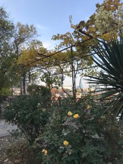 Bethlehem Terrace - Tbilisi - 4