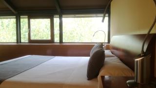 Pazo da Merced - Neda - 3