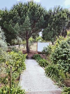 casa Jone - Tomar - 3