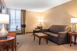 Comfort Inn & Suites Piqua-Near Troy-I75 - Piqua - 9