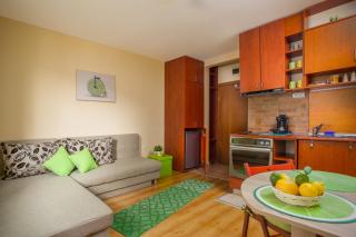 Green Lime Studio - Bansko - 6