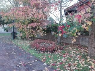Las Martas - Comillas - 8
