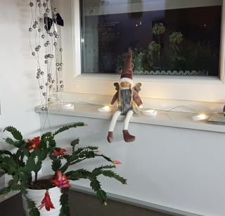 Bellevue Apartment - 3