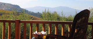 Casa de Sao Miguel Douro - Armamar - 5