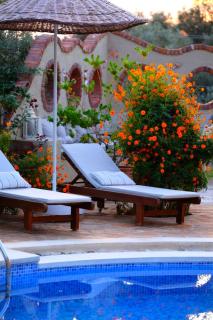 Mandarin & Mango Boutique Hotel - 6