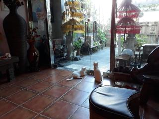 Bali House - Hualien - 9