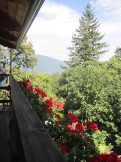 B&B Baita Evelina - 3