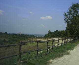 Tenuta I Ginepri - Ozzano dell'Emilia - 3