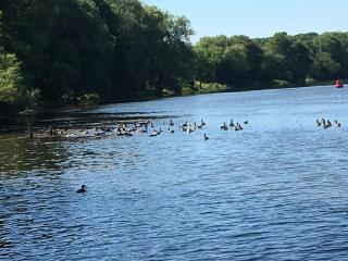 Apartment Lazoroski Arcen - 9