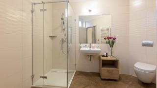Wellness & Spa hotel Villa Regenhart - Jeseník - 4