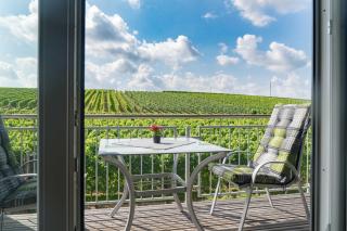 Winzerhof Schmid - Schwaigern - 0