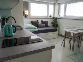 PARADY HOUSE - Olomouc - 3